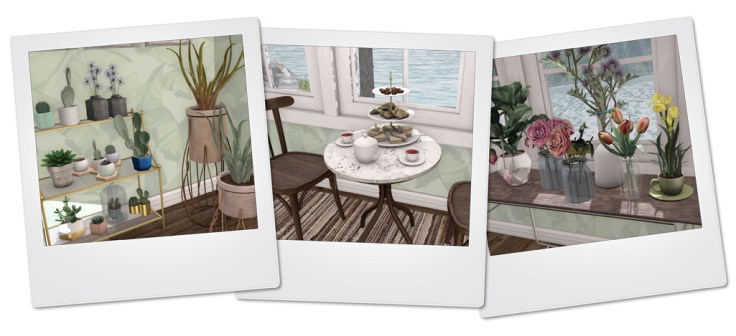 New Port House X blog