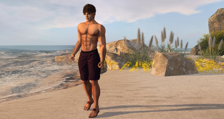 David @ TMD August 2018 - 2 blog