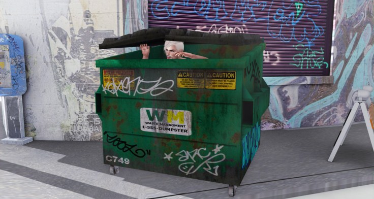 Dumpster Diving Hunt - 2 blog