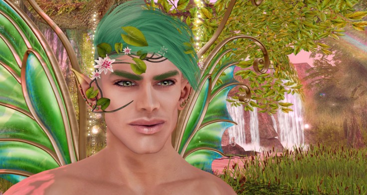 Frog Prince Hunt - 3 blog