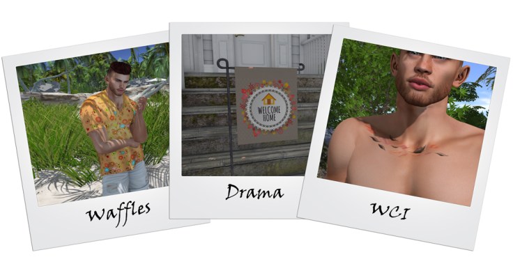 changing colors hunt - 3 blog