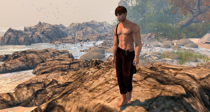 Exmachina 4 - 2 blog